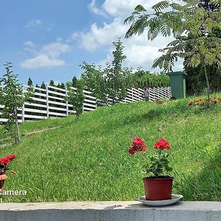 Fruskogorska Idila Apartmani Vrdnik Exterior photo